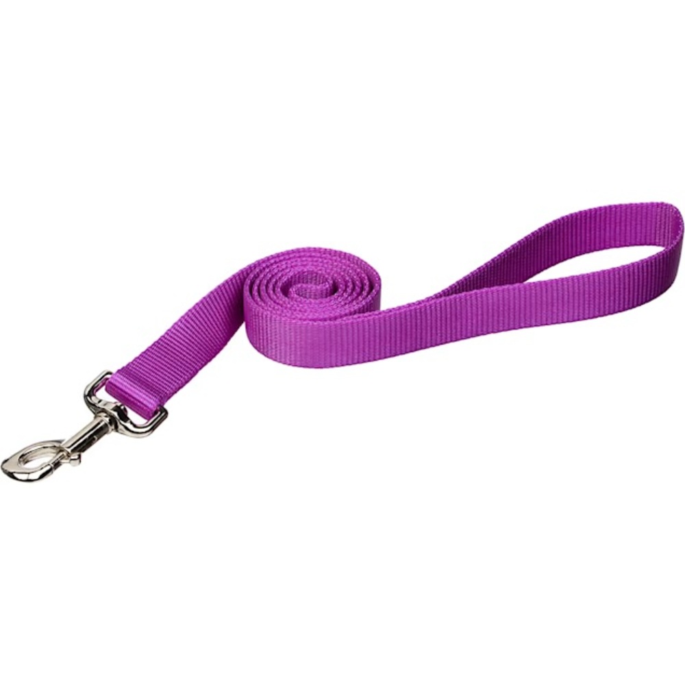 Coastal Pet Orchid Pet Dog Cat Silver Leash